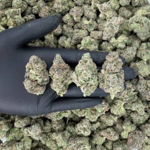 🌌 Exotic Tier: Space Runtz  Nose: 9/10 🔥 Earthy Sweet 😌