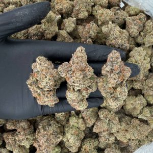 Exotic Tier: Warheads  Nose: 9/10 🔥 Earthy Citrus 🤤