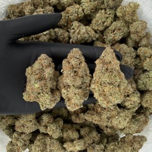 π₯ Gold Tier: Wedding Cake Nose: 8/10 π₯ Fruity β’ Sweet π