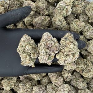 💎 Platinum Tier: Z-Pie  Nose: 10/10 🔥 Fruity • Sweet 🤩