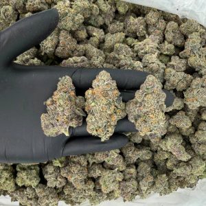 🔥🎤 Rapper Tier: Goofiez 🍏🍌  Our highest quality weed