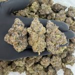 Exotic Tier: Banana Sherbet 🍌🍨🔥  Nose: 9/10 🔥 Sweet Fruity 😇