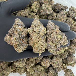 Exotic Tier: Banana Sherbet 🍌🍨🔥  Nose: 9/10 🔥 Sweet Fruity 😇