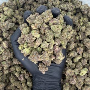 πΏπ₯ Exotic Smalls: Blue Bell Gelatti π₯πΏ Nose: 8/10 π₯ Creamy Berries βΊοΈ