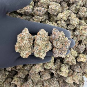 Exotic Tier: Blue Nerds 🔵🍬  Nose: 9/10 🔥 Sour Fruit 😋