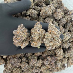 🔥 ZaZa Tier: Bolo  Nose: 10/10 🔥 Creamy Sweet ☺️