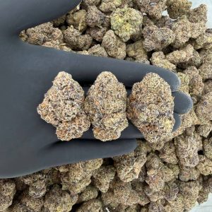 👑🔥 Exotic Tier: Candy Runtz 🍬🌈  Nose: 9/10 🔥 Sweet Fruity 😋