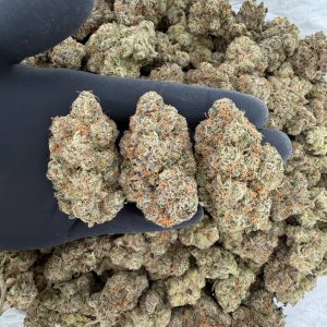 Platinum Tier: Cherry Airheads 🍒🍬  Nose: 10/10 🔥 Fruity Citrus 🤩