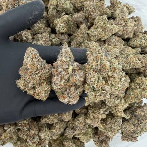 ZaZa Tier: Chrome Dome  Nose: 10/10 🔥 Zesty Diesel 😏