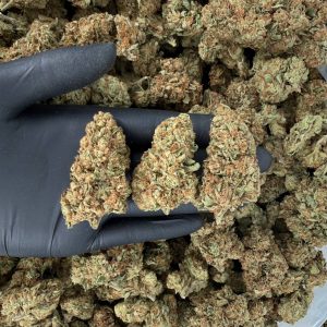 Solar Skunk Tier: Crypto OG 🌲🔥  Nose: 7/10 🔥 Earthy Woody 😙