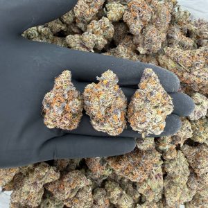 👑🔥 ZaZa Tier: Dulce De Miel 🍯✨  Nose: 10/10 🔥 Sweet • Spicy ☺️