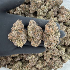 👑🔥 Platinum Tier: Galactic Warhead 🌌💥  Nose: 10/10 🔥 Sweet Skunk 🤤