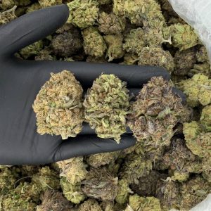 Solar Skunk Tier: Grape Zkittlez 🍇🍬🔥 Nose: 7/10 🔥 Sugary Spice 😙