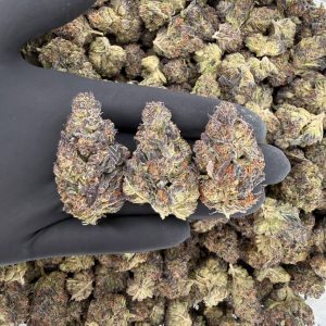 πΏ Solar Skunk Tier: Ice Cream Cake Nose: 6/10 π₯ Nutty β’ Sweet π