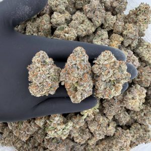 Exotic Tier: Jellie Cake 🍰✨  Nose: 9/10 🔥 Fruity Citrus 😋