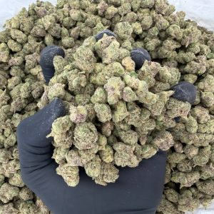 🌿🔥 Exotic Smalls: Jelly Runtz 🔥🌿  Nose: 8/10 🔥 Hashy Sweet 🤤