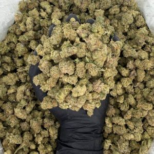 πΏπ₯ Exotic Smalls: Kaleidoscope π₯πΏ Nose: 8/10 π₯ Earthy Spice π€©