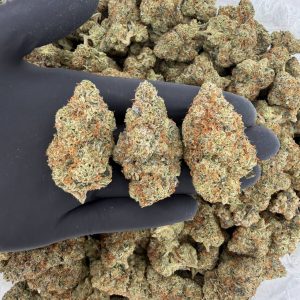 Exotic Tier: Kush Cake 🎂🔥  Nose: 9/10 🔥 Sweet Citrus 😋