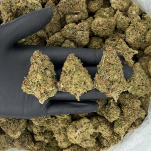 Solar Skunk Tier: Modified Sunset 🌅🔥 Nose: 6/10 🔥 Sweet Diesel 🤗