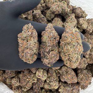 Platinum Tier: Purple Belts 🍇⛽🔥  Nose: 10/10 🔥 Sweet Gas 🤤