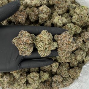 💎🔥 Platinum Tier: Razzberry Z 🍓⛽  Top-shelf quality • Premium flavor • Heavy potency