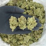 Rapper Tier: Reaper Reserve 💀🔥  Nose: 10/10 🔥 Sweet Berry 🤤