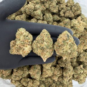 Silver Tier: Sherbacio  Nose: 8/10 🔥 Nutty Sweet 🤩