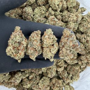 ππ₯ Solar Skunk Tier: Sherbet πͺπ¨ Nose: 7/10 π₯ Sweet Cookie π