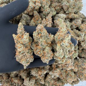 Platinum Tier: Super Lemon Haze 🍋🔥  Nose: 10/10 🔥 Zesty Lemon 😁