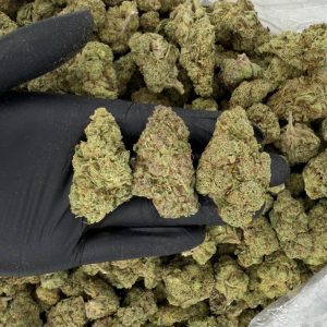 Solar Skunk Tier: Watermelon 🍉🔥 Nose: 7/10 🔥 Skunky Sweet 😏