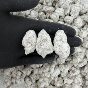 🍉❄️ Bulk Snowcaps: Watermelon 🍬🔥