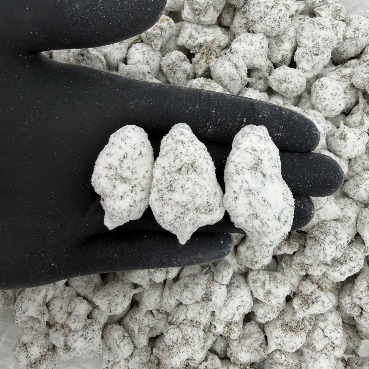 πβοΈ Bulk Snowcaps: Watermelon π¬π₯