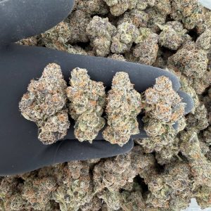 Platinum Tier: White Runtz 🤍🍬  Nose: 10/10 🔥 Earthy Citrus 😁