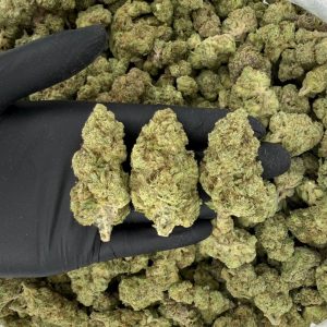 Solar Skunk Tier: White Truffle 🍄🔥 Nose: 6/10 🔥 Woody Pine 🥸