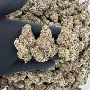 ZaZa Tier: Z Pie 🍬🥧  Nose: 10/10 🔥 Fruity Citrus 🤩