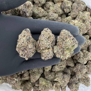 ZaZa Tier: Zerealz 🥣✨  Nose: 10/10 🔥 Creamy Sweet 😇