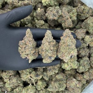 Exotic Tier: Zkittles 🍭🔥  Nose: 9/10 🔥 Sweet Tropical Earth ☺️