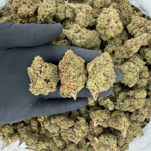 🌌🔥 Solar Skunk Tier: Banana Mochi 🍌🍡  Nose: 7/10 🔥 Earthly Sweet 😵‍💫