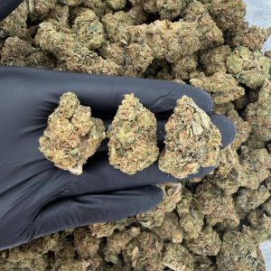 ☀️🦨 Solar Skunk Tier: Black Cherry Funk 🍒🌲 Nose: 7/10 🔥 Sweet Pine 🤌