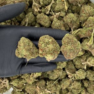 💎🔥 Solar Skunk Tier: Chemdawg ⛽🔥  ⚠️ contains leaves and stems ⚠️