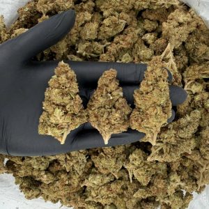 ☀️🦨 Solar Skunk Tier: Gas Face ⛽😤 Nose: 6/10 🔥 Spicy Diesel 😶‍🌫️