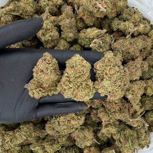 💎🔥 Solar Skunk Tier: Gumbo 🍬⛽  Nose: 7/10 🔥 Sweet Candy 🥳