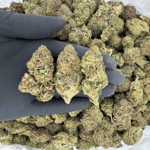 🌌🔥 Solar Skunk Tier: Interstellar Overdrive 🚀🍊  Nose: 7/10 🔥 Flowery Citrus 😵‍💫