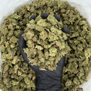 ☀️🦨 Solar Skunk Tier: Pink Guava 🌸🥭 Nose: 6/10 🔥 Sweet Citrus 🤌