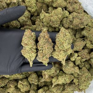 Pink Runtz 🌸⛽  Nose: 8/10 🔥 Sweet Citrus 😋