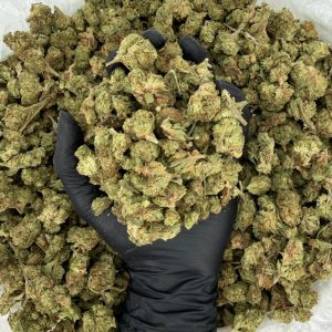 💎🔥 Solar Skunk Tier: Space Burger 🍔⛽  Nose: 6/10 🔥 Piney Citrus 😵‍💫