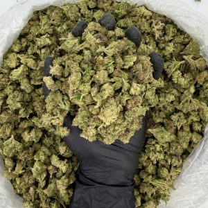 💎🔥 Solar Skunk Tier: Zoap 🫧⛽  Nose: 6/10 🔥 Fruity Citrus 😝