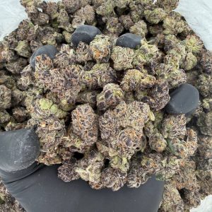 🥇 Gold Tier: Amnesia Mac Ganja  Nose: 8/10 🔥 Sweet Earth 😋