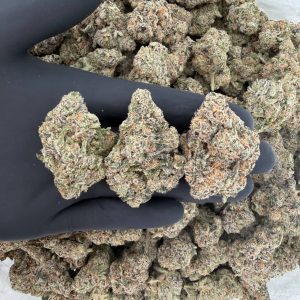 👑 Exotic Tier: Black Amber  Nose: 9/10 🔥 Sweet Diesel 🤤