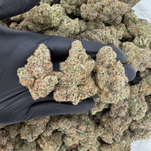 💎🔥 ZaZa Tier: Bling Cheesecake 🍰⛽  Nose: 10/10 🔥 Sweet Citrus 🤩